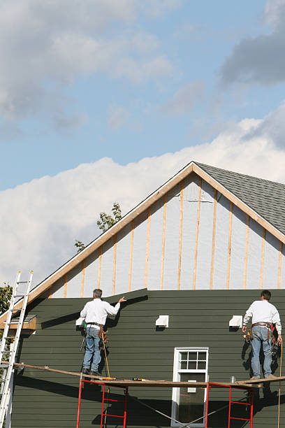 Best Vinyl Siding Installation  in Kewanee, IL